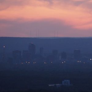 Meet your Posher, Owen